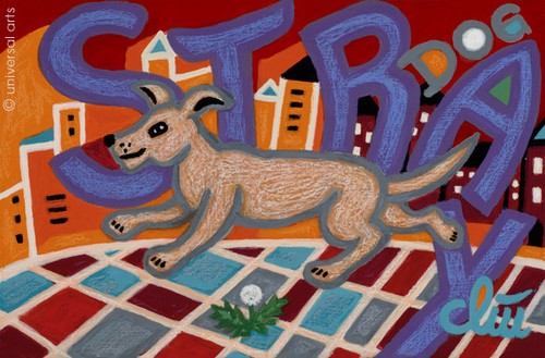 Jacqueline ditt stray dog - -,