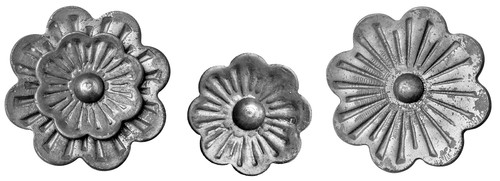 Zierblumen rosette zierrosette - zierblumen,