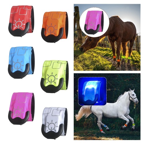 Led horse ankle strap - led,