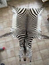 Hartmann Bergzebra Zebrafell Ca 2,95 x 2,25 m aus Namibia Neu mit Nachweisen