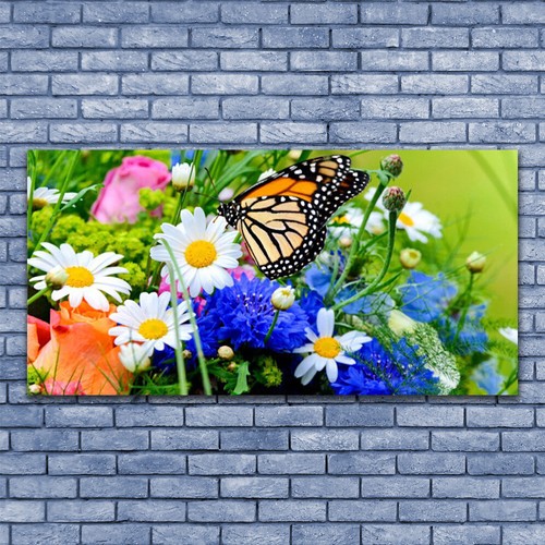 Glasbilder wandbild druck auf - glasbilder,