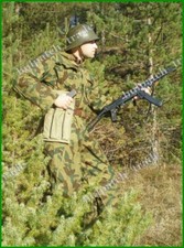 Bulgarische armee splitter - armee,