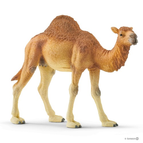 Schleich 14832 dromedar kamel - 14832,