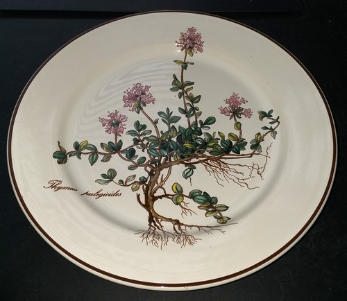 Villeroy boch botanica - &,
