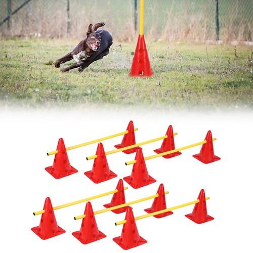 Hürden set agility kegel - hürden,