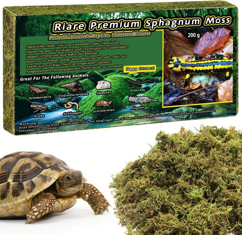 Sphagnum moos 200g - moos,