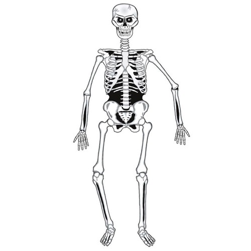 Halloween deko skelett - deko, /