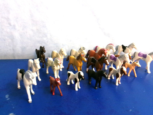 Pferde pony fohlen für - 20,