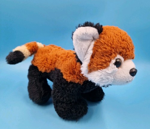 Cornelissen roter panda - panda, cm