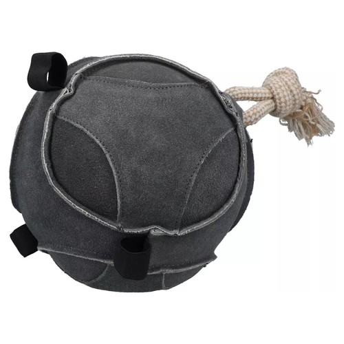 Excellent horse fun - fun, ball
