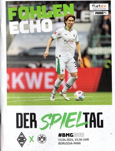 Fohlen echo borussia - fohlen, echo-borussia