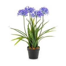 Künstliche Agapanthus ,oder Schmucklilie  Kunstblume 66cm 5KG Top-Qualität