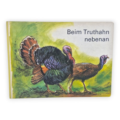 Beim truthahn nebenan - truthahn,