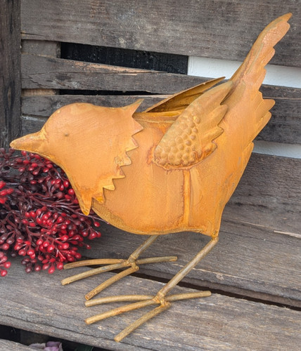 Rost vogel eisen - ❤️,