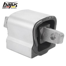 Hajus Lagerung Motor