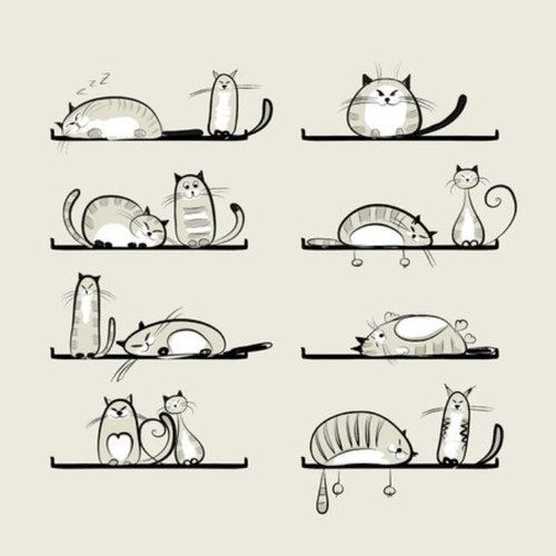 Wandbild lustige katzen - wandbild:, in