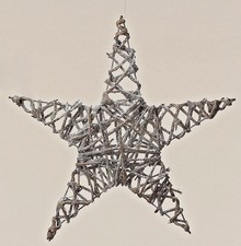 Stern Weide silber zum Hängen