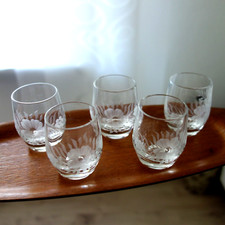 5 edle Schnapsgläser Likör Becher Kristallglas transparent Blume Gravur geätzt