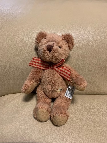 Teddybär kleiner sunkid - kleiner,