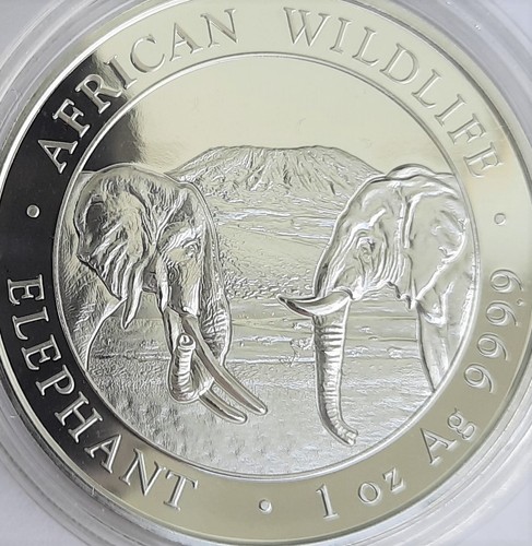 Somalia 100 shillings - 100, 2020
