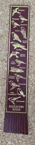 Migratory birds - migratory,