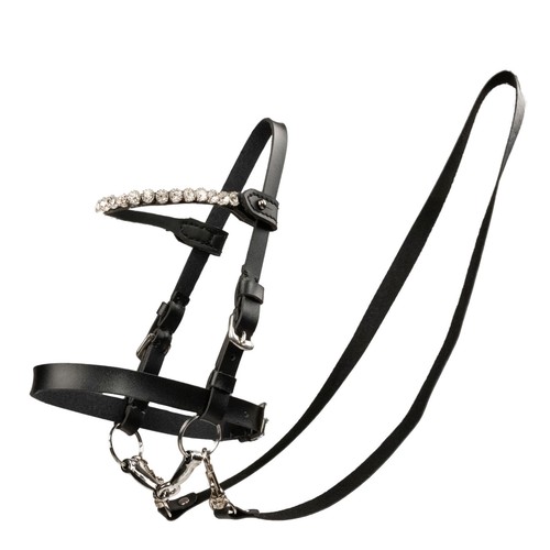 Hobby horse zaumzeug für - my,