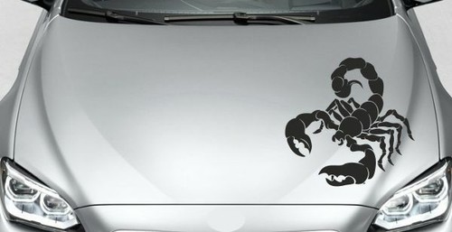 Aufkleber auto car motorhaube - car,