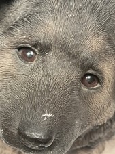 Original Sandicast Figur