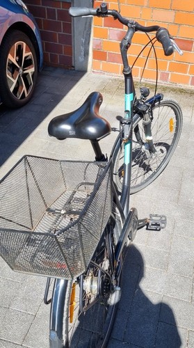 Citybike pegasus piazza - citybike, 7