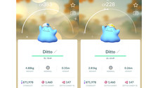 ✨Shiny (Schillernd) Ditto