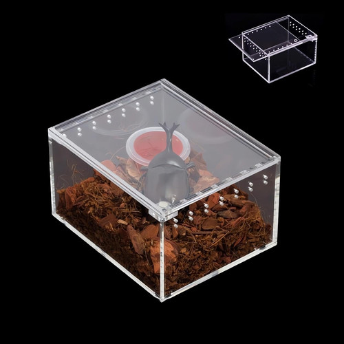 Mini terrarium magnetisches - terrarium,,