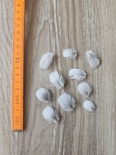 10 weiß graue 🤍🩶