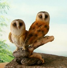 2 Schleiereule auf Baumstamm