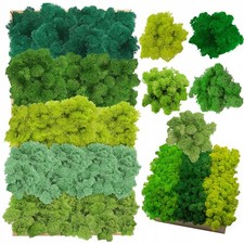 Künstliches Moos Islandmoos