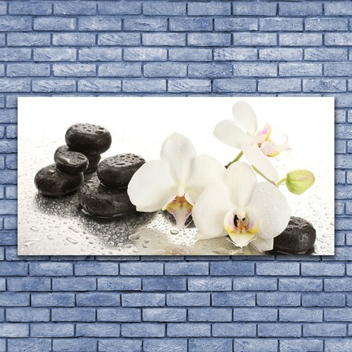 Acrylglasbilder wandbilder aus - acrylglasbilder,