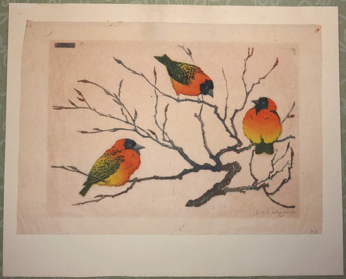 Martin erich philipp - martin,
