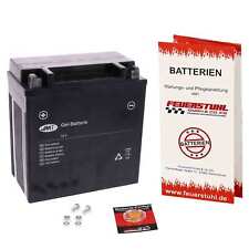 Batterie GEL Suzuki VS 1400 Intruder, 1987-2003, VX51L, geladen, inkl 7,50 Pfand