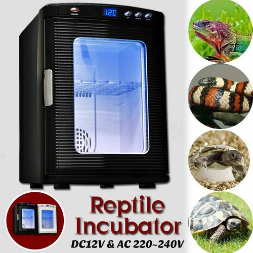 Reptilien inkubator brutkasten - reptilien,