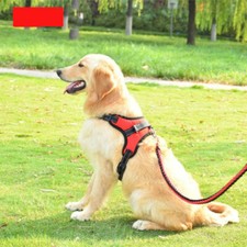 Hundegeschirr brustgeschirr - hundegeschirr,