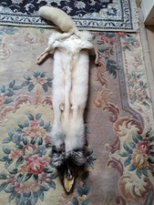 Coole Stola Blaufuchs Silberfuchs Pelz Fell Fuchs Fuchsfell Schal mit Federn