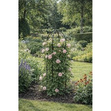 Rankgestell Rankgitter