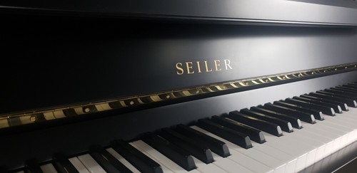 Sehr schönes schwarzes