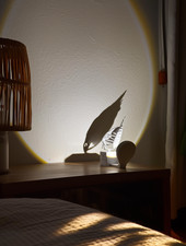 Schattenlampe, Nachtlicht