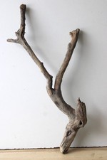 Treibholz Schwemmholz