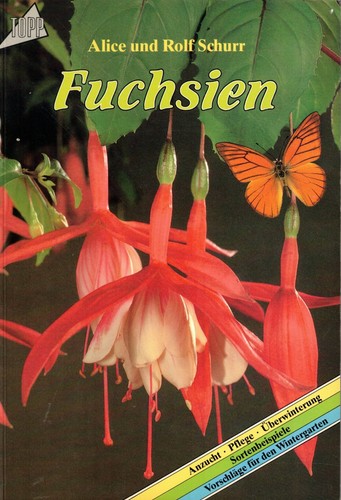 Fuchsien anzucht pflege - anzucht,