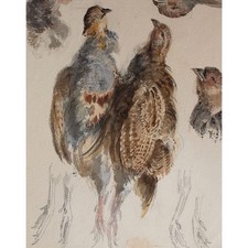 Rebhühner Stillleben Tierstudie Studie unsign Aquarell über Bleistift vor 1900