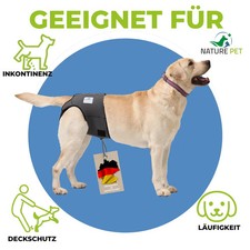 Läufigkeitshose für Hündinnen ohne Einfädeln der Rute, Inkontinenzhose für Hunde