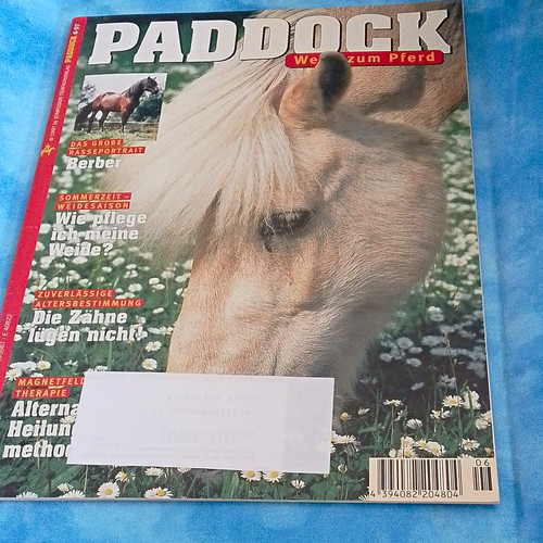 Paddock zeitschrift wege zum - wege,
