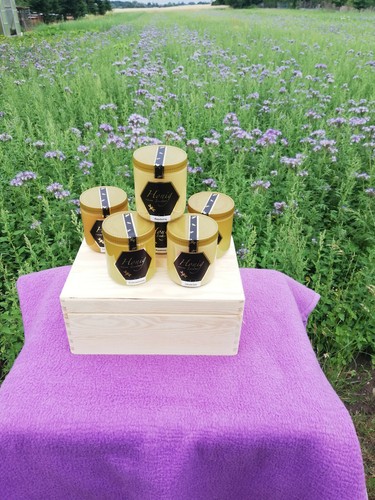 Bienenhonig aus - bienenhonig ,