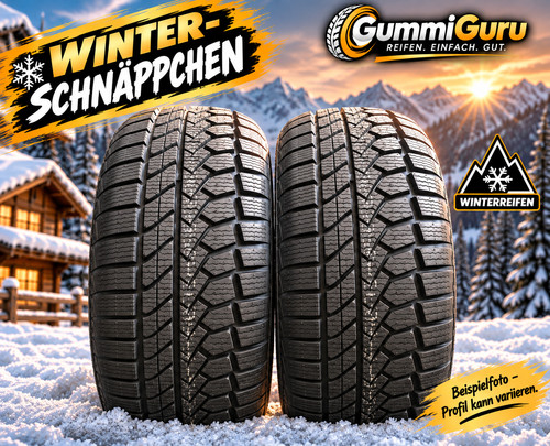 205 r16 91v - 2x, winterreifen